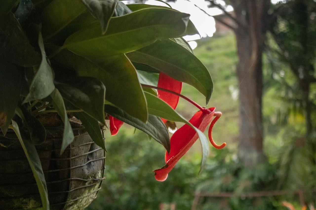 Biohotel Ecohouse Guarne Buitenkant foto