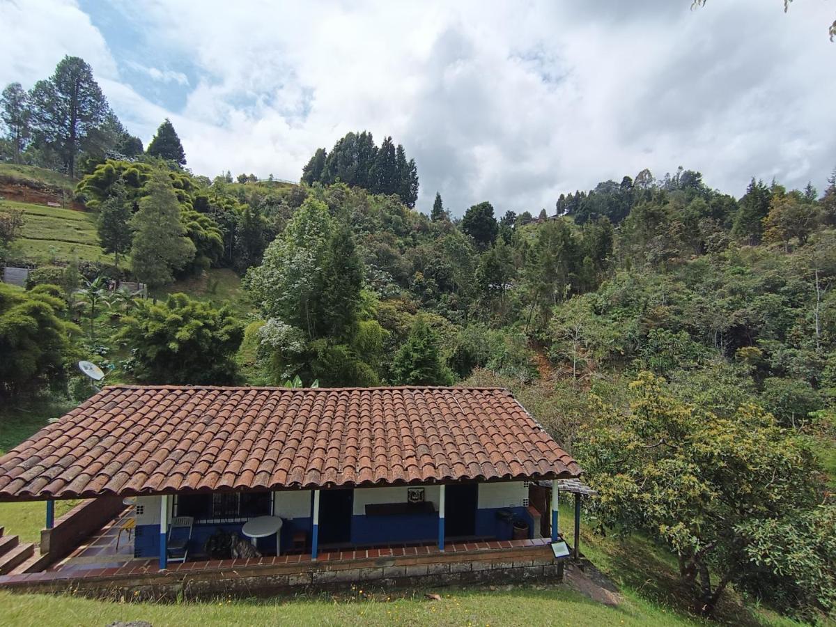 Biohotel Ecohouse Guarne Buitenkant foto