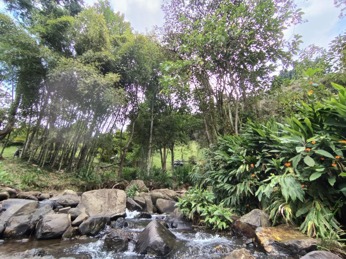 Biohotel Ecohouse Guarne Buitenkant foto