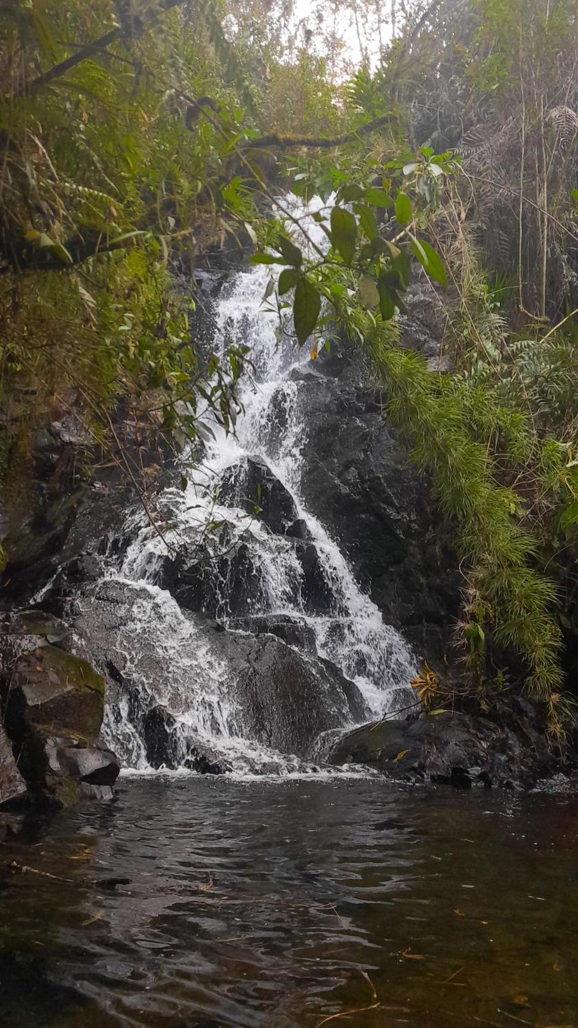 Biohotel Ecohouse Guarne Buitenkant foto