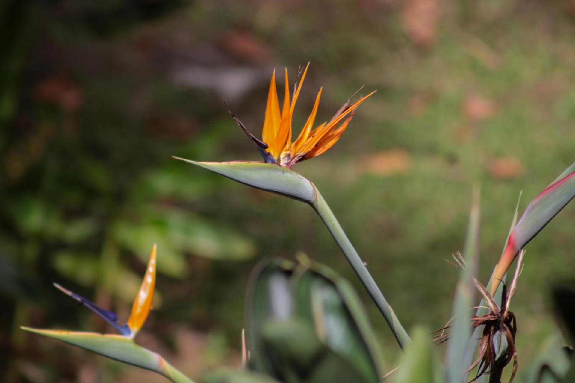 Biohotel Ecohouse Guarne Buitenkant foto